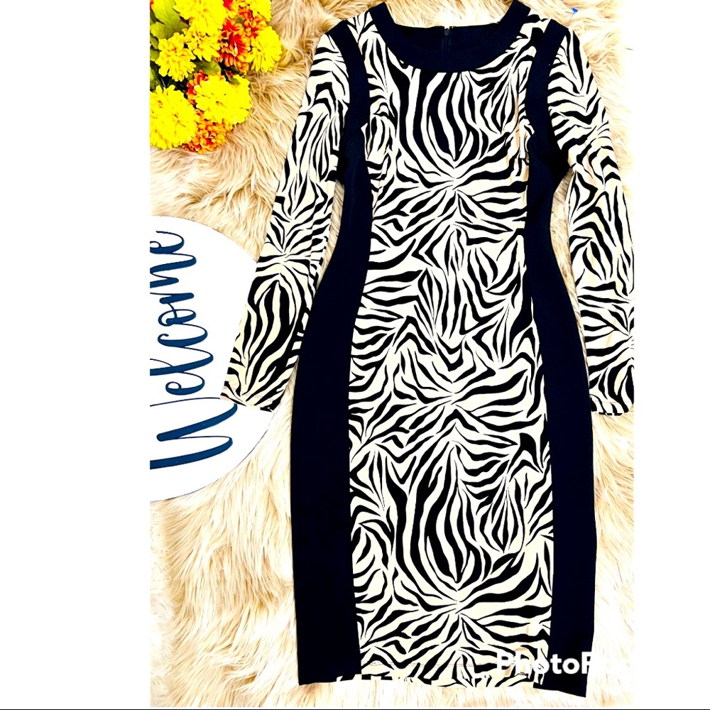 Dress New York &Company Size S